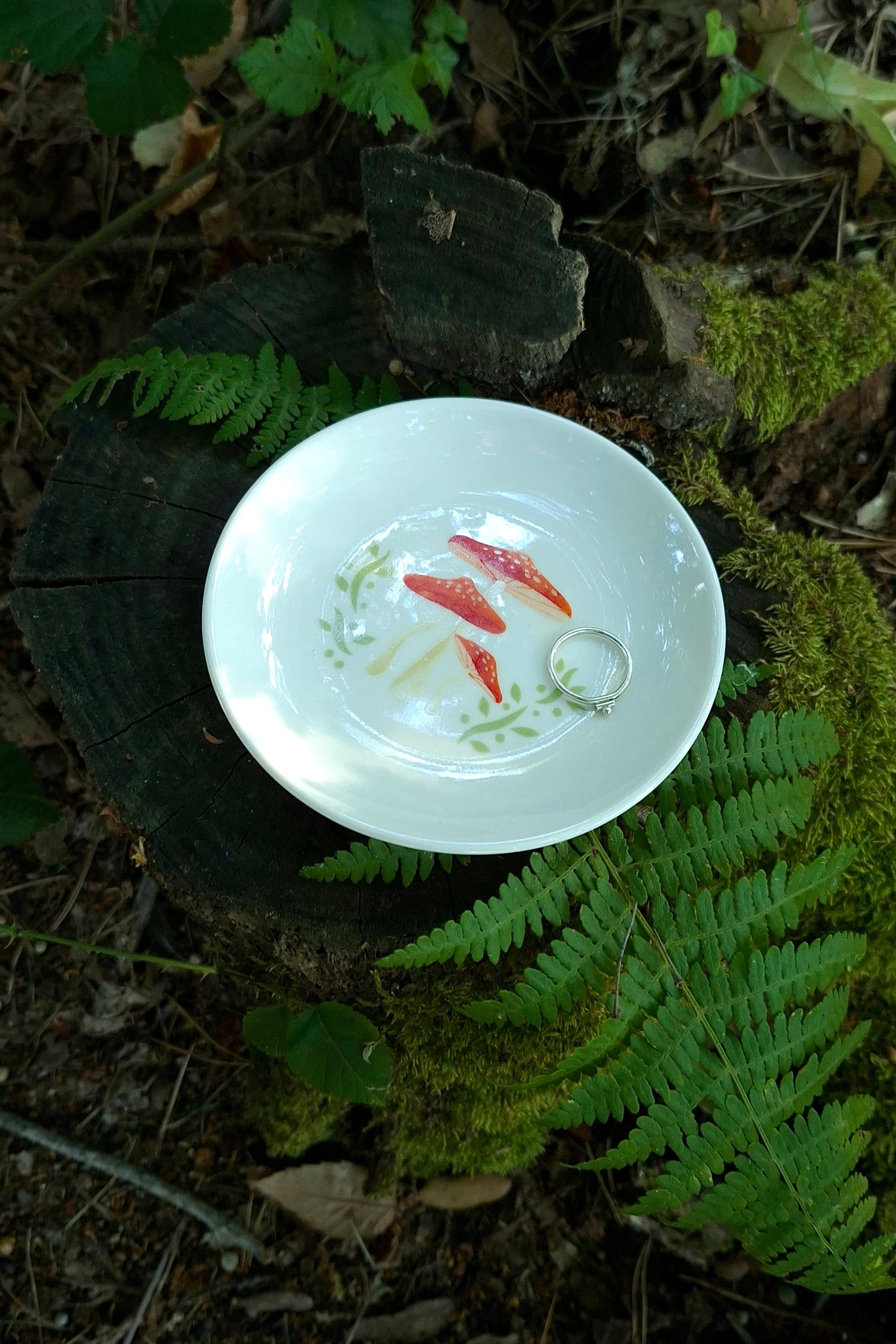 Plato Amanitas