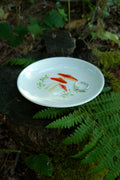Plato Amanitas