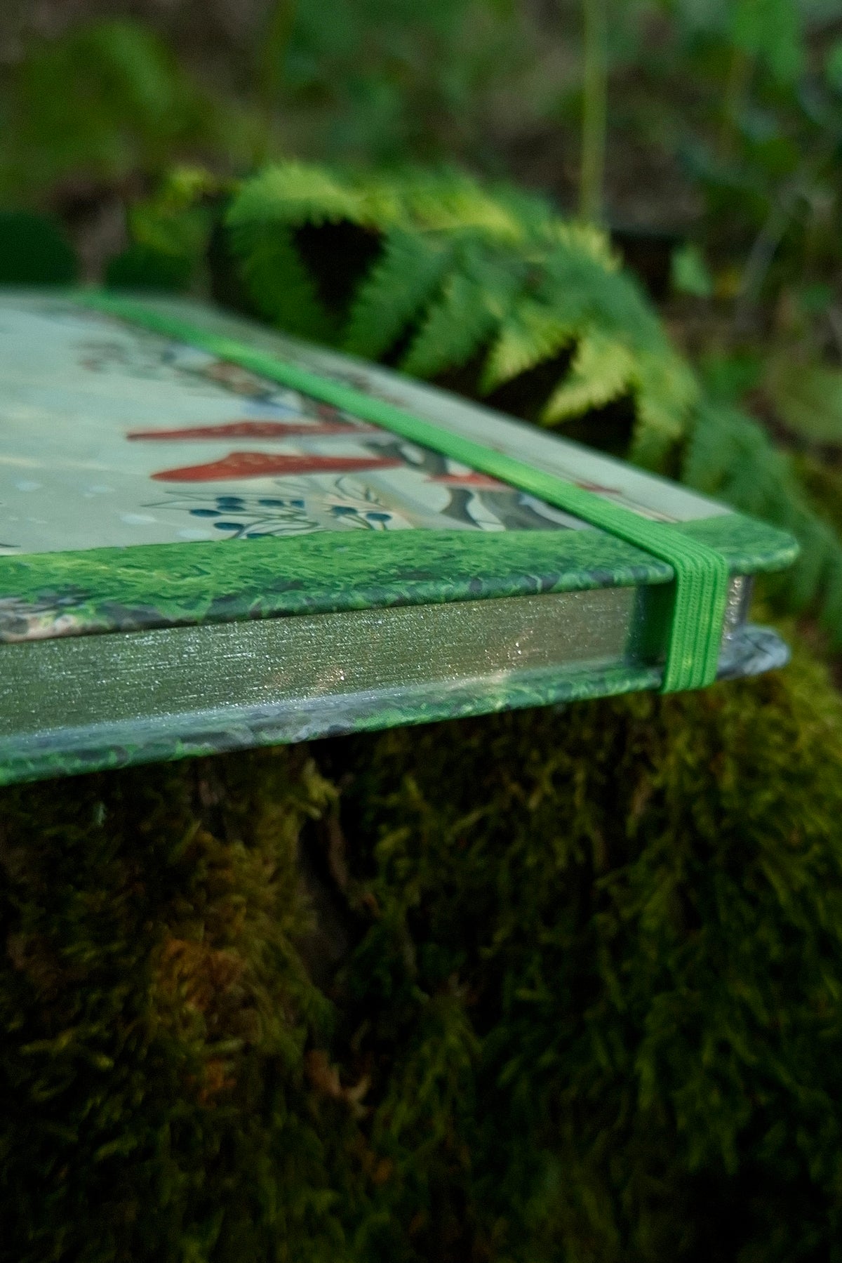 Cuaderno Amanita