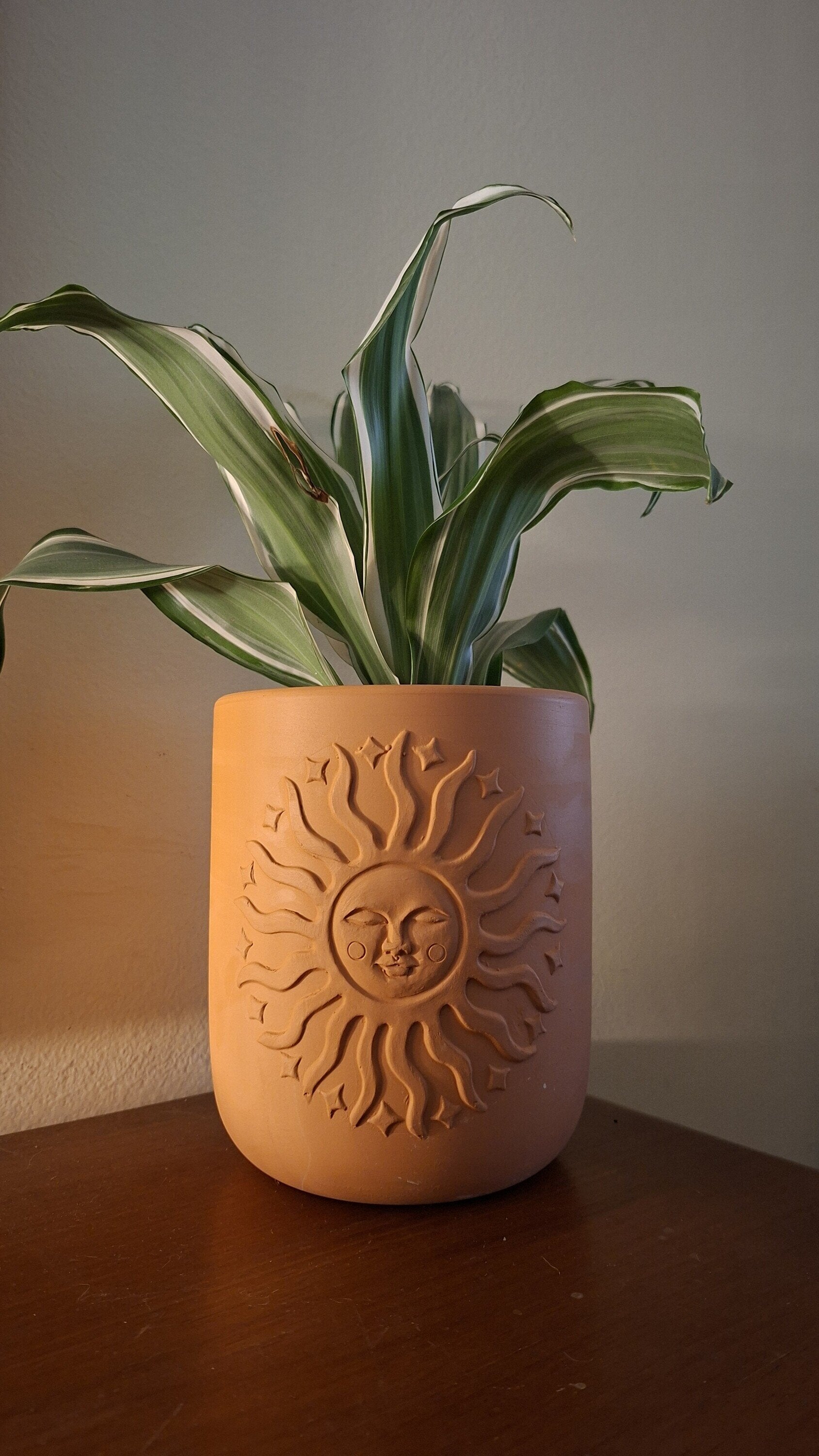 Macetero Terracota Sol